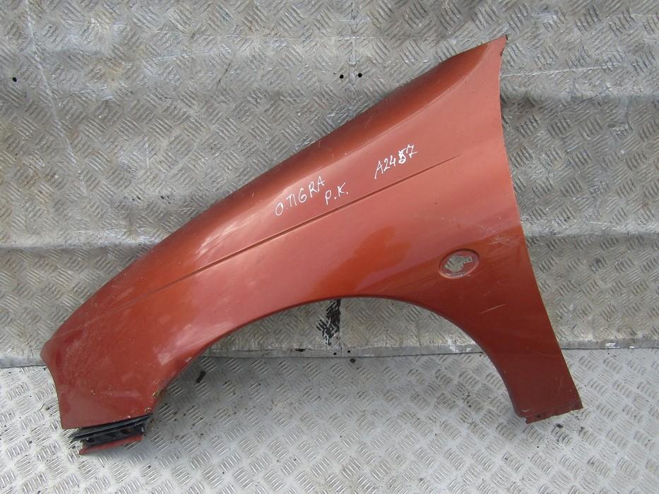 Front Fender (Arch) Left NENUSTATYTA NENUSTATYTA Opel TIGRA 1995 1.6