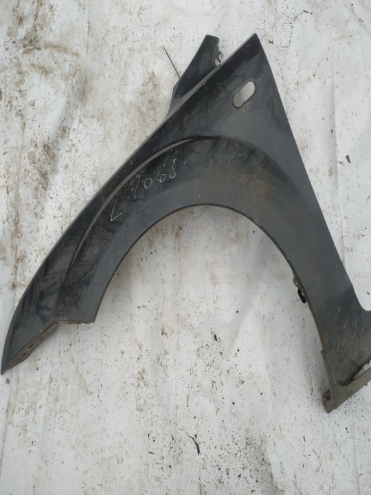 Front Fender (Arch) Left pilkas used Ford FOCUS 1999 1.8