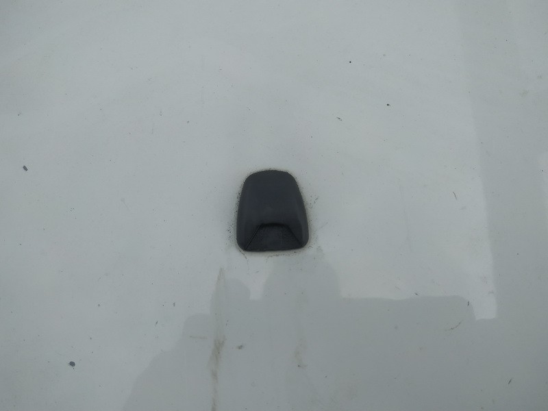 Priekinio stiklo apiplovimo purkstukas used used Fiat BRAVO 2010 1.6